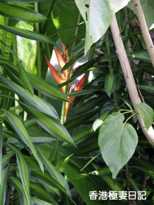 f0190653_9382964.jpg