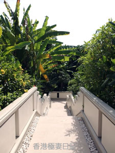 f0190653_9384076.jpg