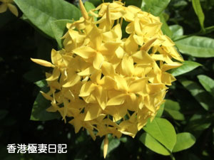 f0190653_93859.jpg