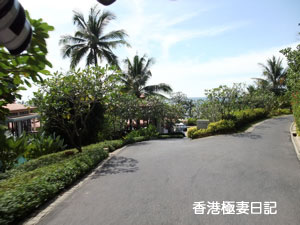 f0190653_939454.jpg