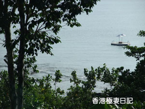 f0190653_9411843.jpg