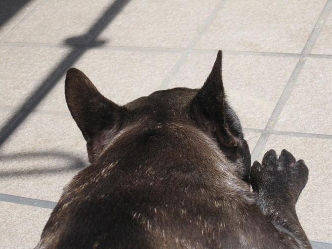 e0126054_20313344.jpg