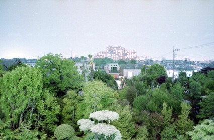 f0178061_2104114.jpg