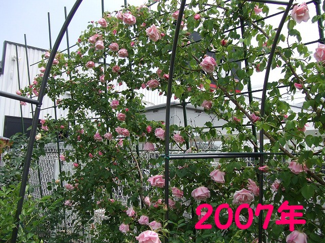 a0104162_6373213.jpg