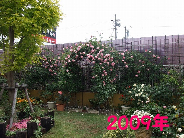 a0104162_6382947.jpg