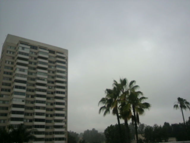 a0047364_5533890.jpg