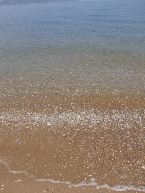 c0207868_852697.jpg