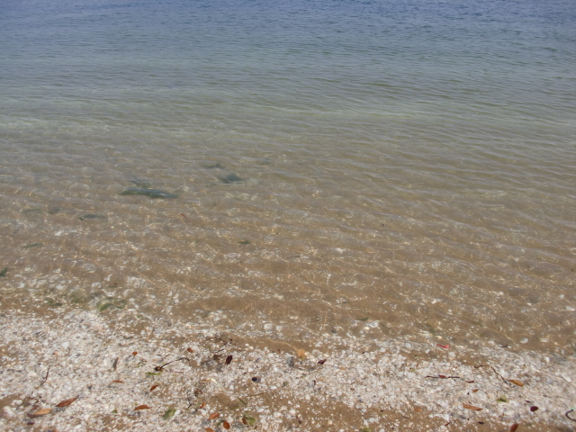 c0207868_8562767.jpg