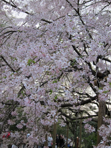 a0167672_17255869.jpg