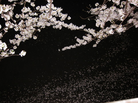 a0167672_17411721.jpg