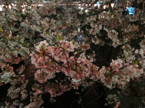 a0167672_18283136.jpg