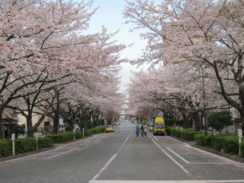 a0167672_1894643.jpg