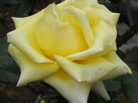 a0167672_21263451.jpg