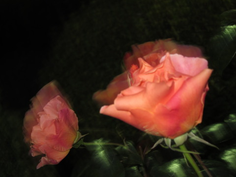 a0167672_2285767.jpg