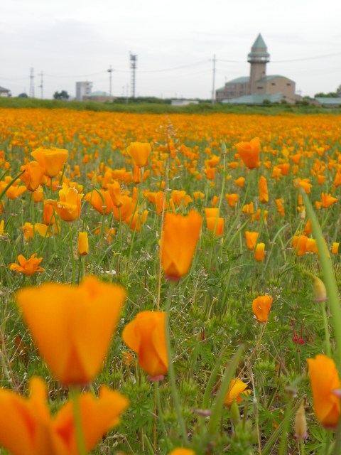 b0004675_9281534.jpg