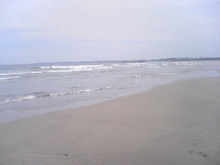 f0001781_14275382.jpg