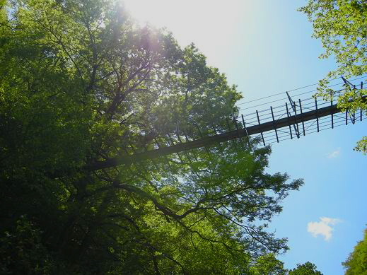 c0136486_123258100.jpg
