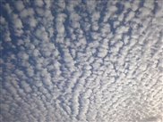 d0056588_2118452.jpg