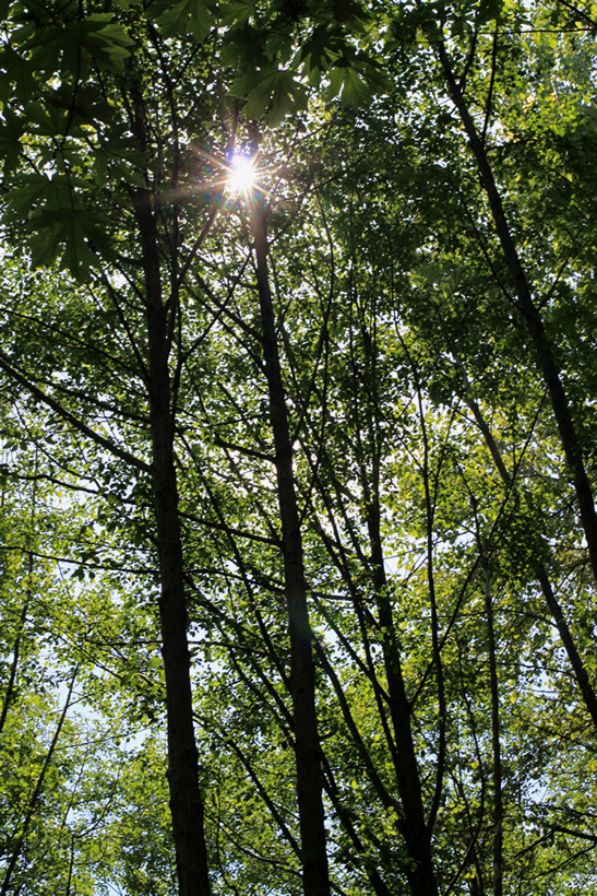 c0164491_1455489.jpg