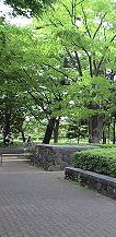 f0224393_22371413.jpg