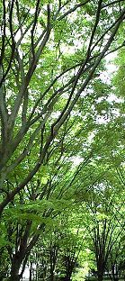 f0224393_2237346.jpg