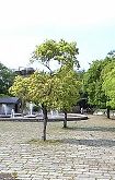 f0224393_22374883.jpg