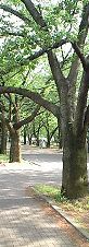 f0224393_2238043.jpg