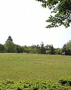 f0224393_22381460.jpg