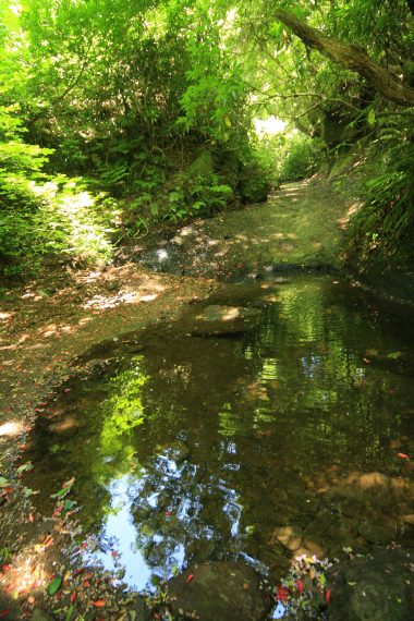c0084097_2122094.jpg