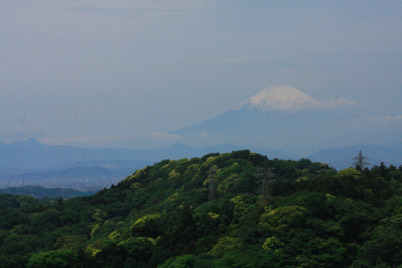 c0084097_21283043.jpg