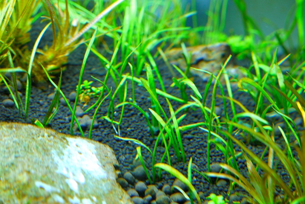 c0225297_3354048.jpg