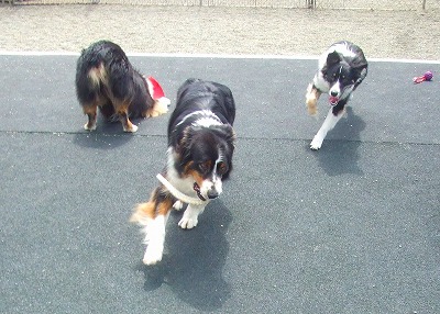 f0077697_1820544.jpg