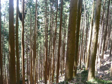 c0187898_1436202.jpg