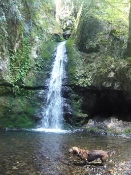 c0187898_14364499.jpg