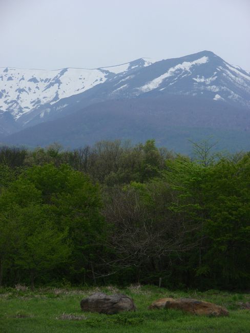 d0069498_1056477.jpg