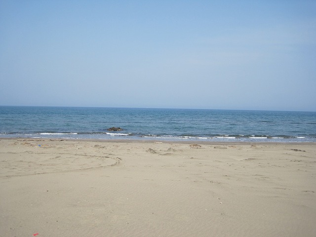 c0144703_1749444.jpg
