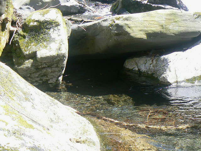 f0164503_1246593.jpg