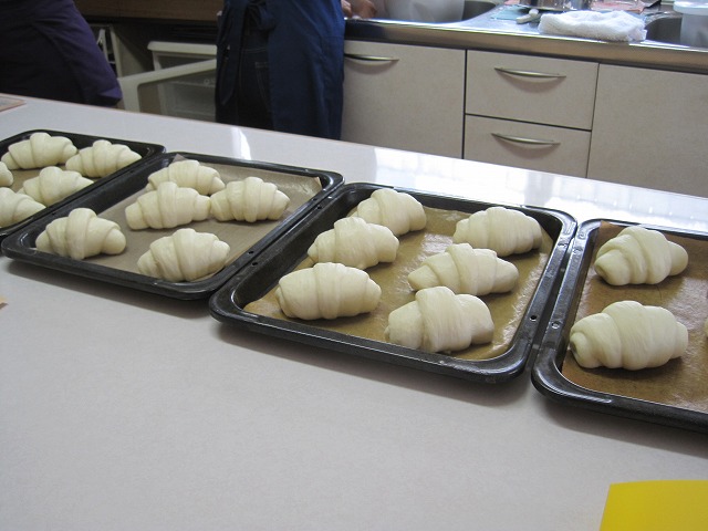 f0202703_515526.jpg