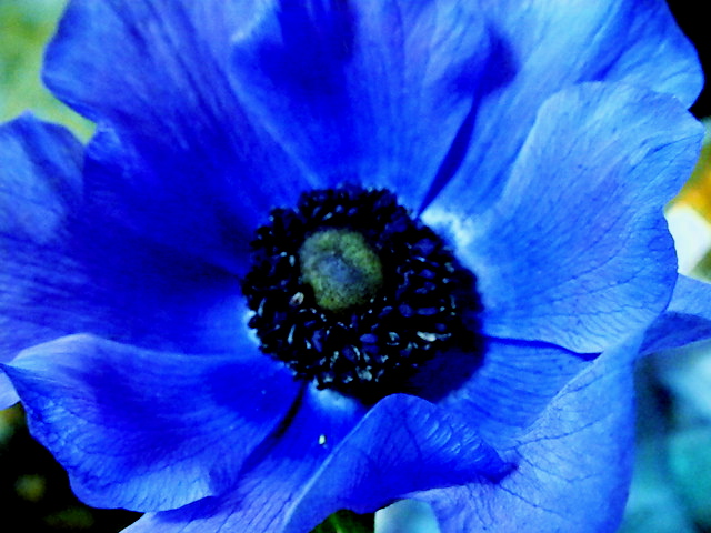 a0157704_4191743.jpg