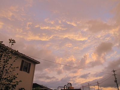 c0117007_2018146.jpg