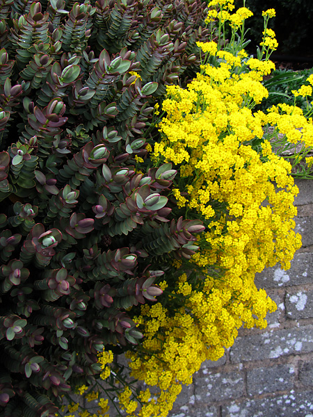 d0036708_2244967.jpg