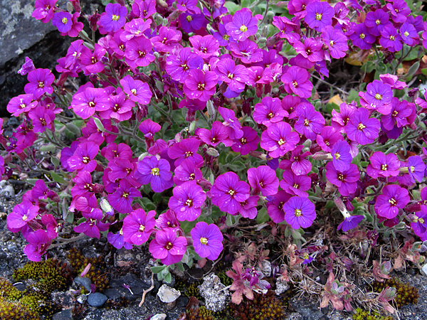 d0036708_2255832.jpg