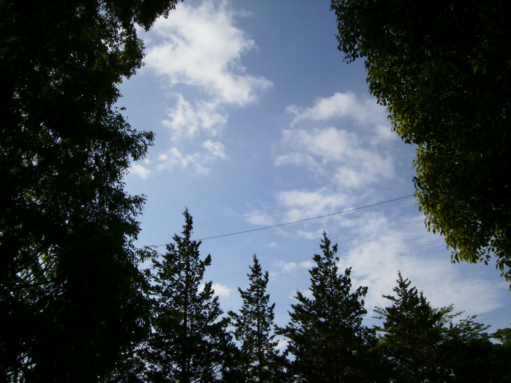 f0208812_14435492.jpg