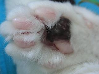 c0201113_20443433.jpg