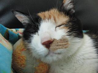 c0201113_20525553.jpg