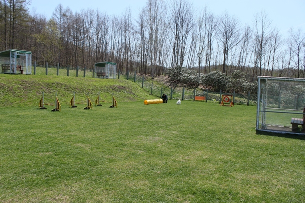 a0109914_164536.jpg
