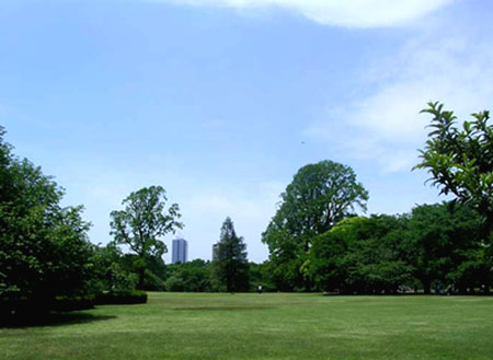 f0036716_188075.jpg
