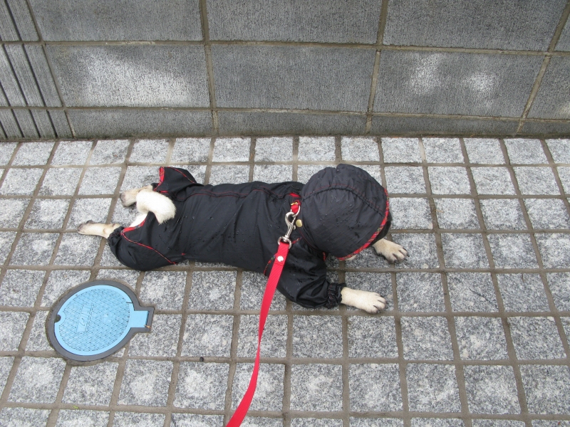 f0128821_21401159.jpg