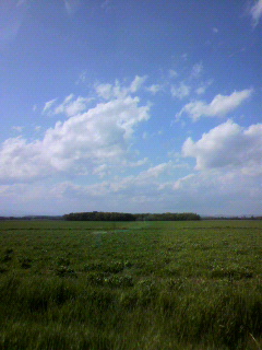 f0036223_915979.jpg