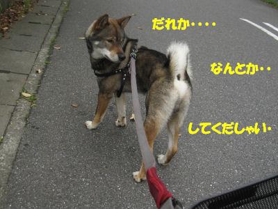 f0143123_2010179.jpg